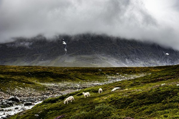 Voyage en van : guide pour une aventure nomade